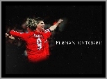 Liverpool, Fernando Torres